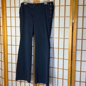 Ann Taylor Loft Julie Trouser Size 10